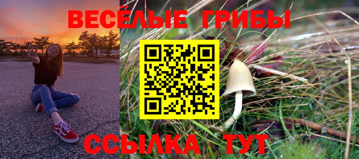 купить наркотики сайты  Галлюциногенные грибы мухоморы  Вход с VPN  Мичуринск 